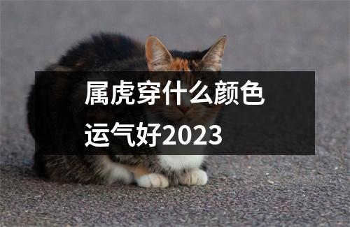 属虎穿什么颜色运气好2023