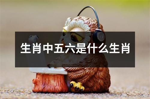 生肖中五六是什么生肖