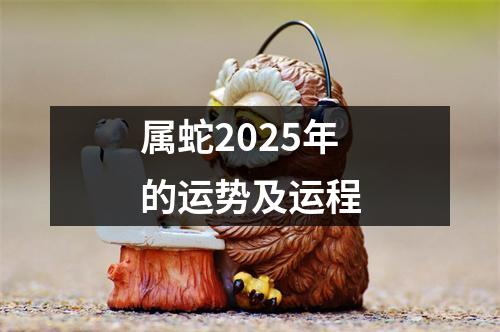 属蛇2025年的运势及运程