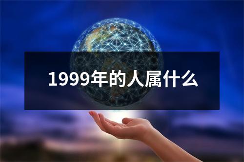 1999年的人属什么