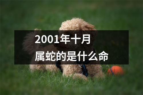 2001年十月属蛇的是什么命