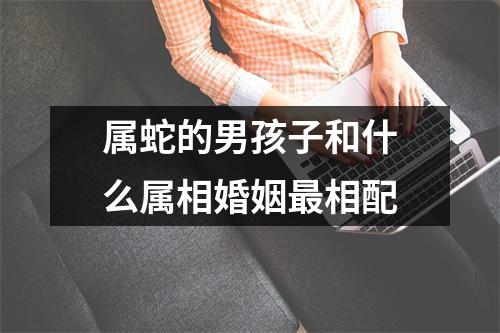 属蛇的男孩子和什么属相婚姻最相配