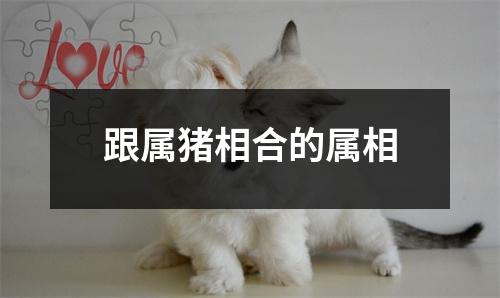 跟属猪相合的属相