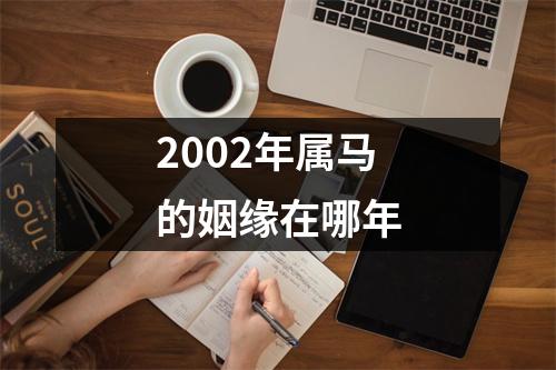 2002年属马的姻缘在哪年