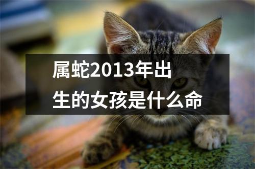 属蛇2013年出生的女孩是什么命