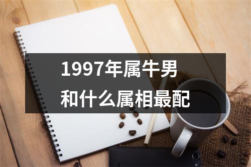 1997年属牛男和什么属相最配