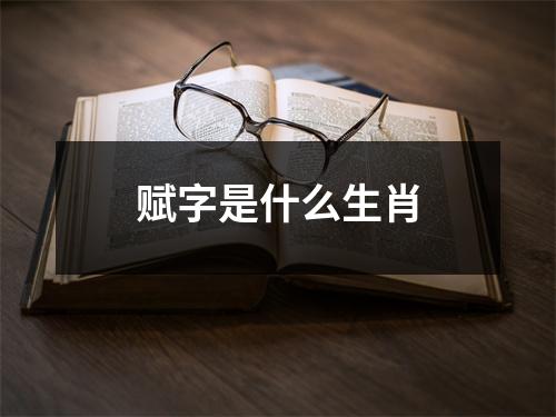 赋字是什么生肖