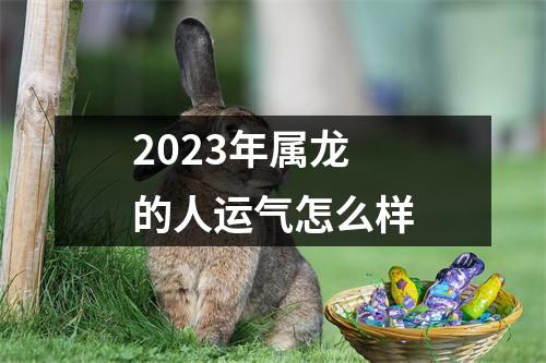 2023年属龙的人运气怎么样