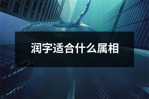 润字适合什么属相