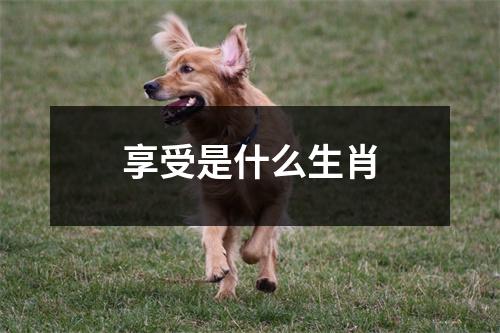 享受是什么生肖