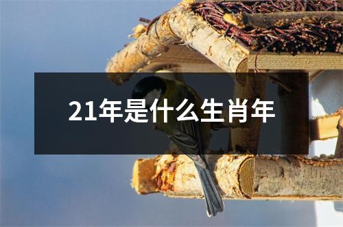 21年是什么生肖年