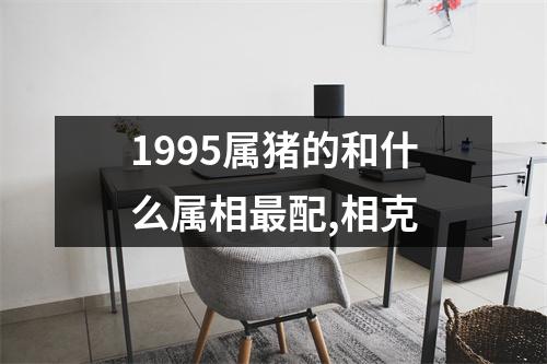 1995属猪的和什么属相最配,相克