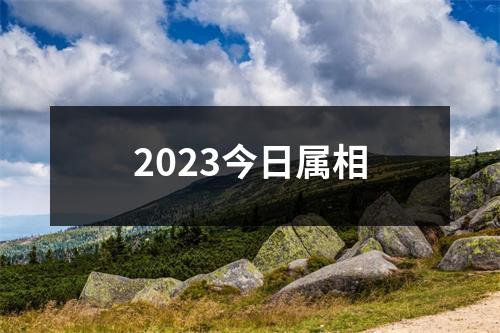 2023今日属相