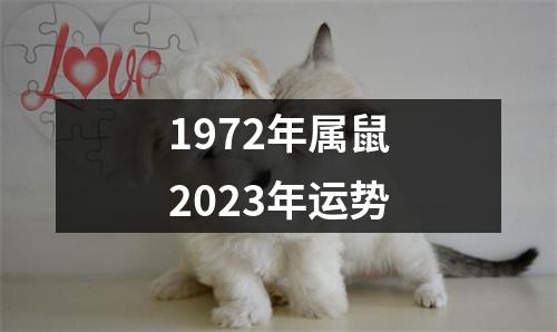 1972年属鼠2023年运势