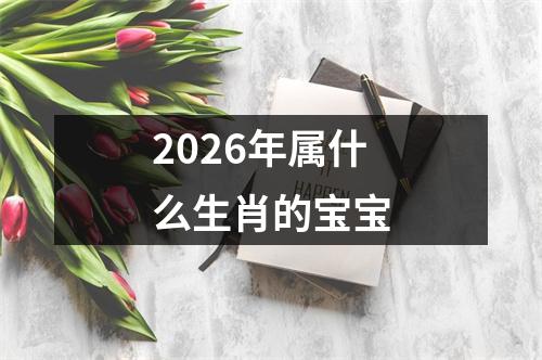 2026年属什么生肖的宝宝