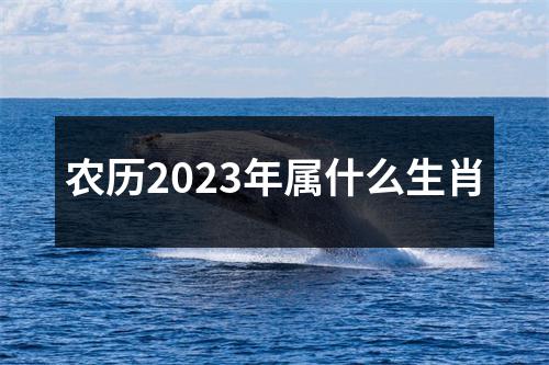 农历2023年属什么生肖