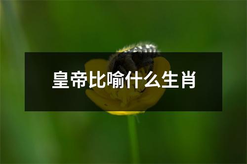 皇帝比喻什么生肖