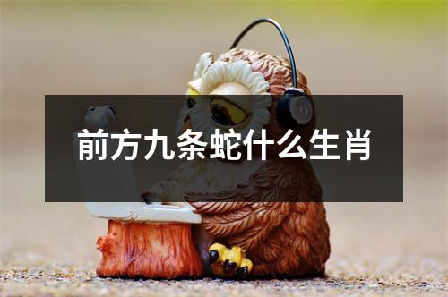 前方九条蛇什么生肖