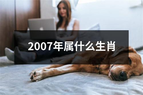 2007年属什么生肖