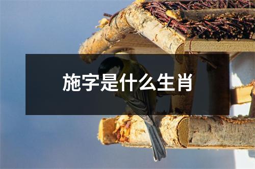 施字是什么生肖