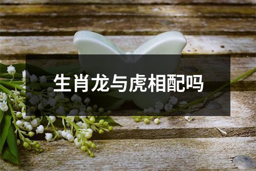 生肖龙与虎相配吗