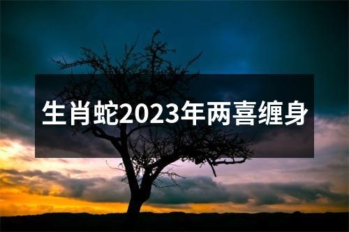 生肖蛇2023年两喜缠身