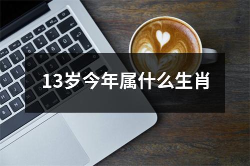 13岁今年属什么生肖