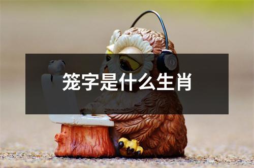 笼字是什么生肖