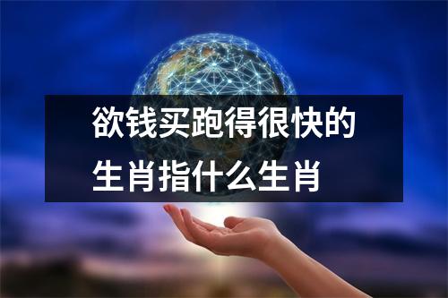 欲钱买跑得很快的生肖指什么生肖