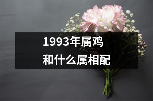 1993年属鸡和什么属相配