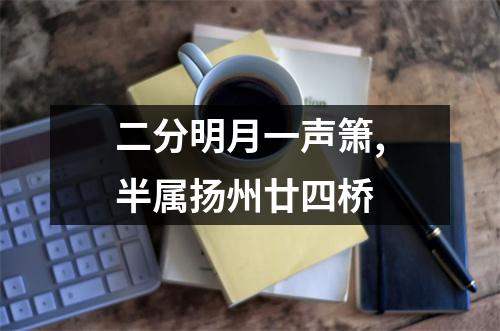 二分明月一声箫,半属扬州廿四桥