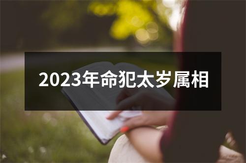 2023年命犯太岁属相