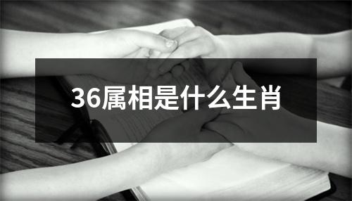 36属相是什么生肖