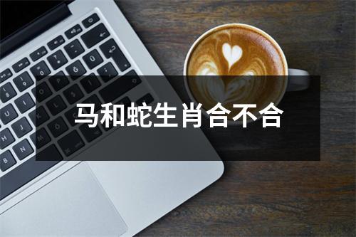 马和蛇生肖合不合