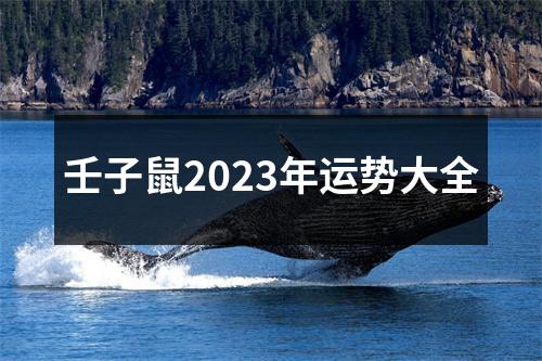 壬子鼠2023年运势大全