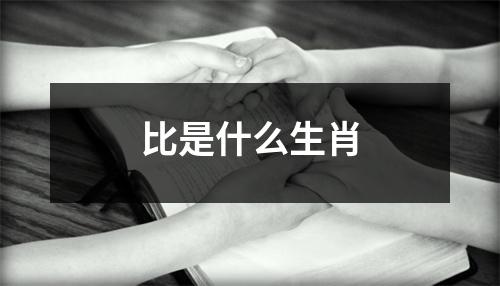 比是什么生肖