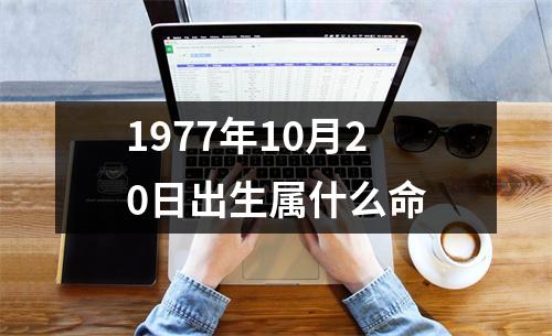 1977年10月20日出生属什么命