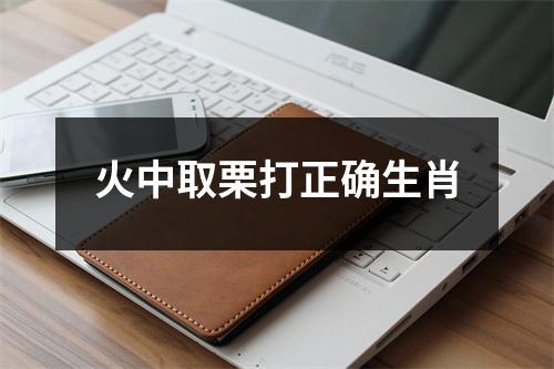 火中取栗打正确生肖