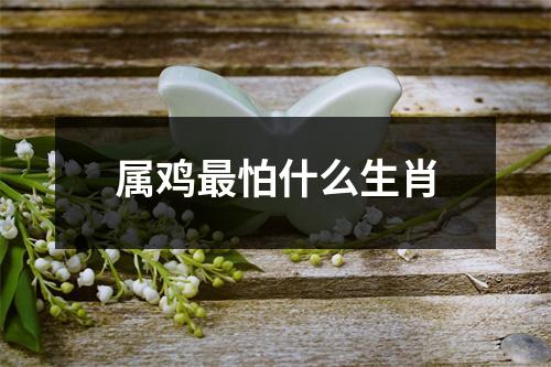 属鸡最怕什么生肖