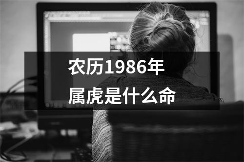 农历1986年属虎是什么命