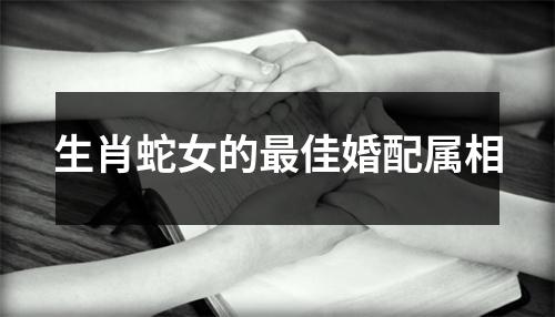 生肖蛇女的最佳婚配属相