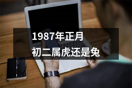 1987年正月初二属虎还是兔