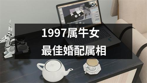 1997属牛女最佳婚配属相