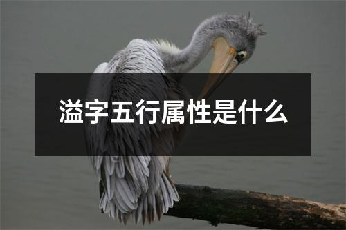 溢字五行属性是什么