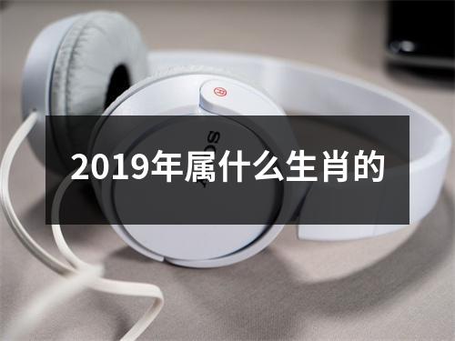 2019年属什么生肖的