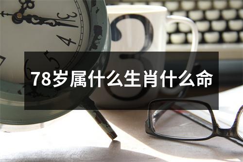 78岁属什么生肖什么命