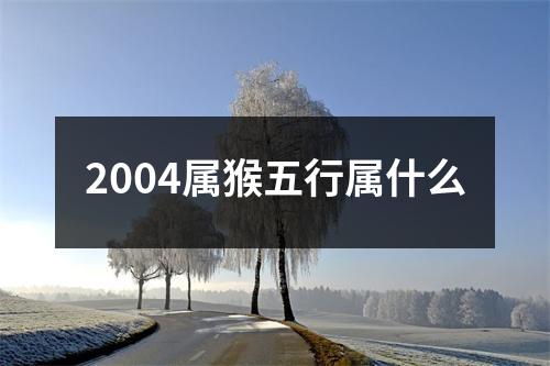 2004属猴五行属什么