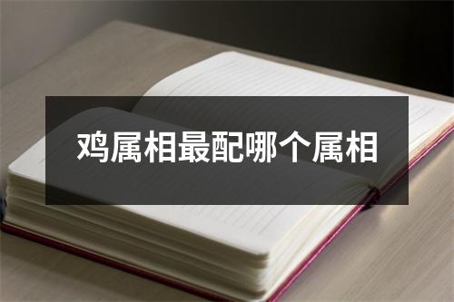 鸡属相最配哪个属相