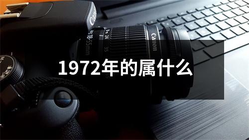 1972年的属什么