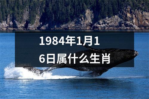 1984年1月16日属什么生肖